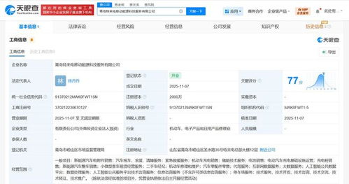 特來電成立移動能源科技服務公司 引領信息技術咨詢服務新篇章